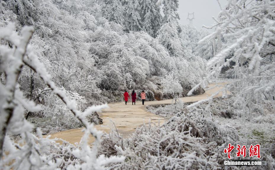 免费动漫app排行榜前十名