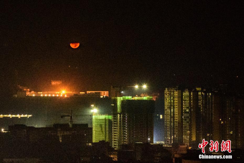 弱点漫画在线观看