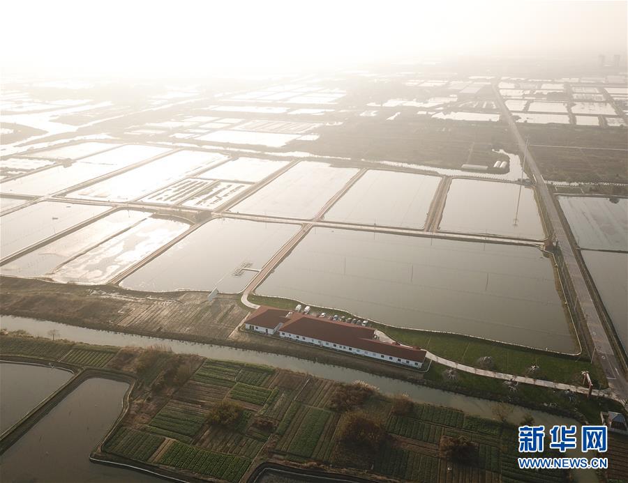 同人：约会大作战datealive ex章节（3） ast存亡战 第一节