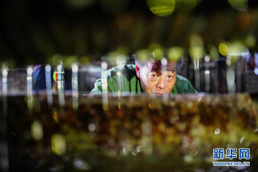 守护甜心漫画版