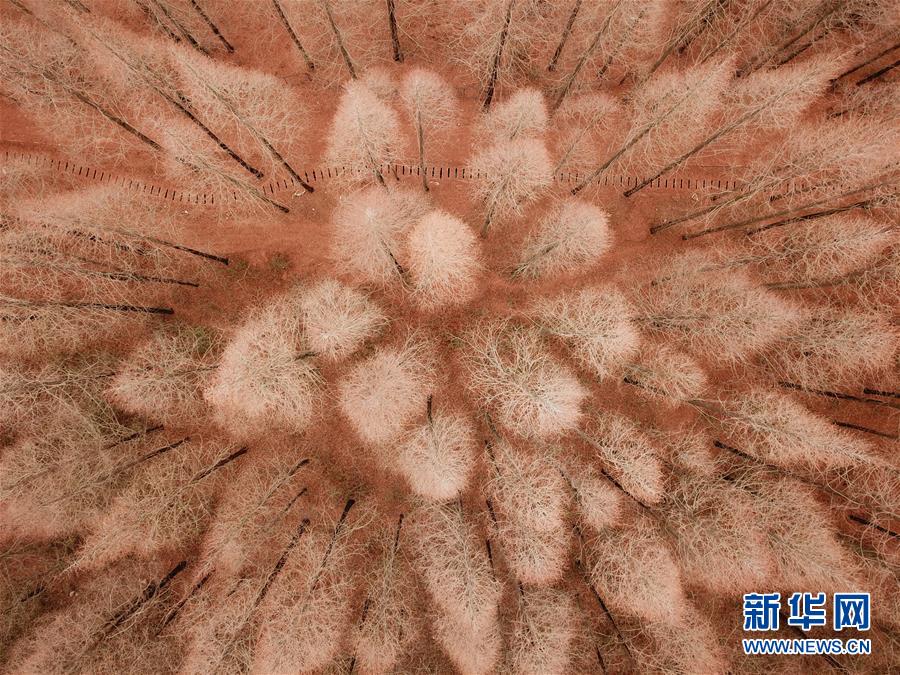 备受关注的死神230模型，设计与工艺究竟有多出色？