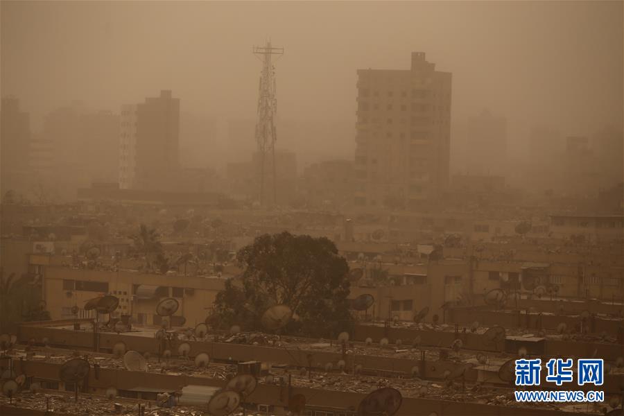 阅站漫画app最新版：免费搜索全网漫画，畅享多种便捷阅读体验