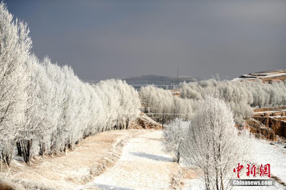 免费漫画阅站app下载安装无广告，畅享丰富漫画资源