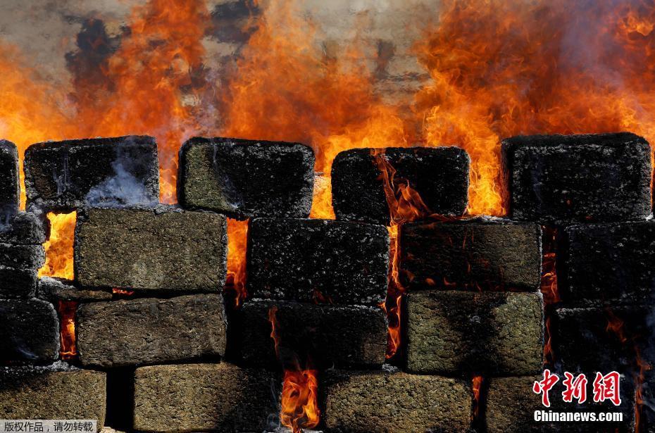 缘之空借兄妹情纠葛引发思索，为何对兄妹恋情描绘引争议？