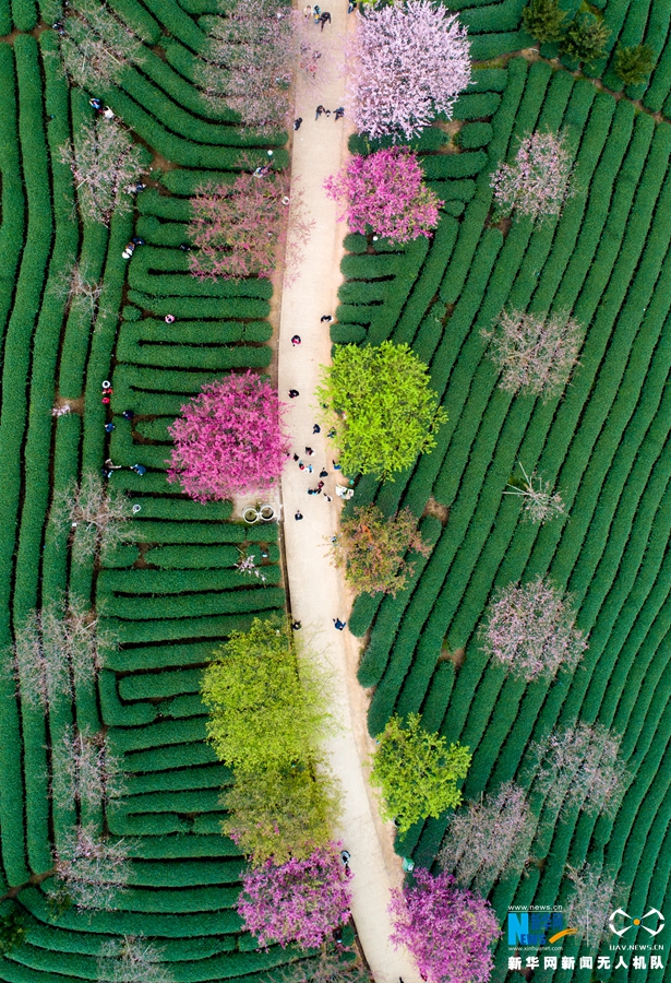 笔趣阁手机版：优质小说阅读软件，类型全且可自由查找