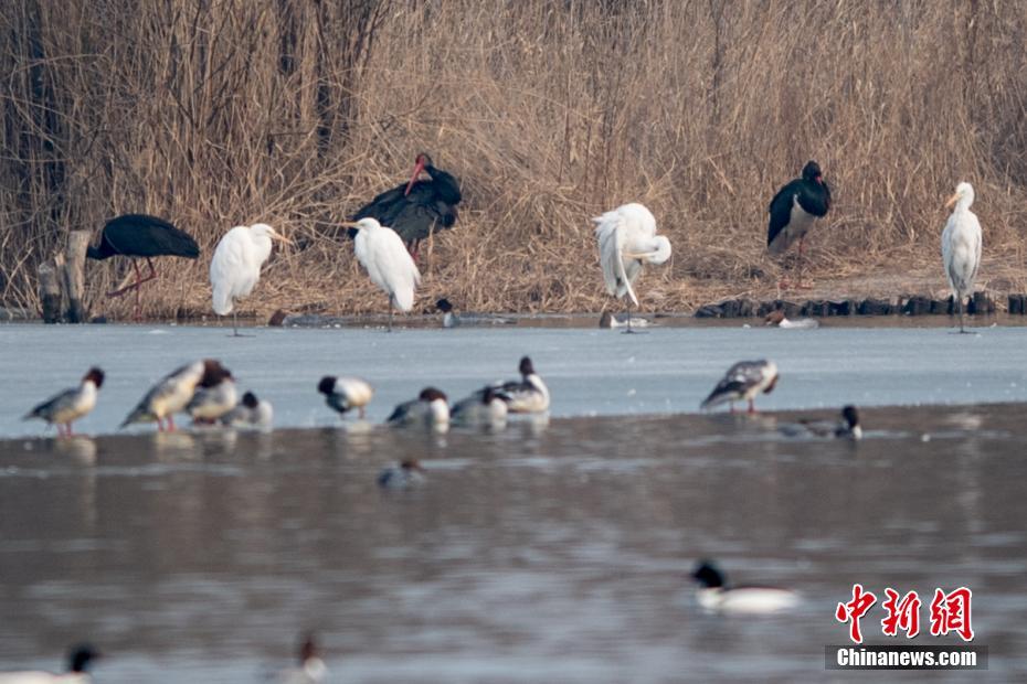 六宫风华漫画免费观看