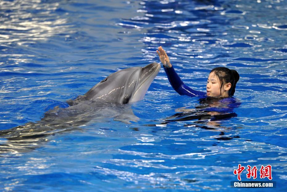 网络文学爱好者必读！新笔趣阁现状及使用建议大揭秘？