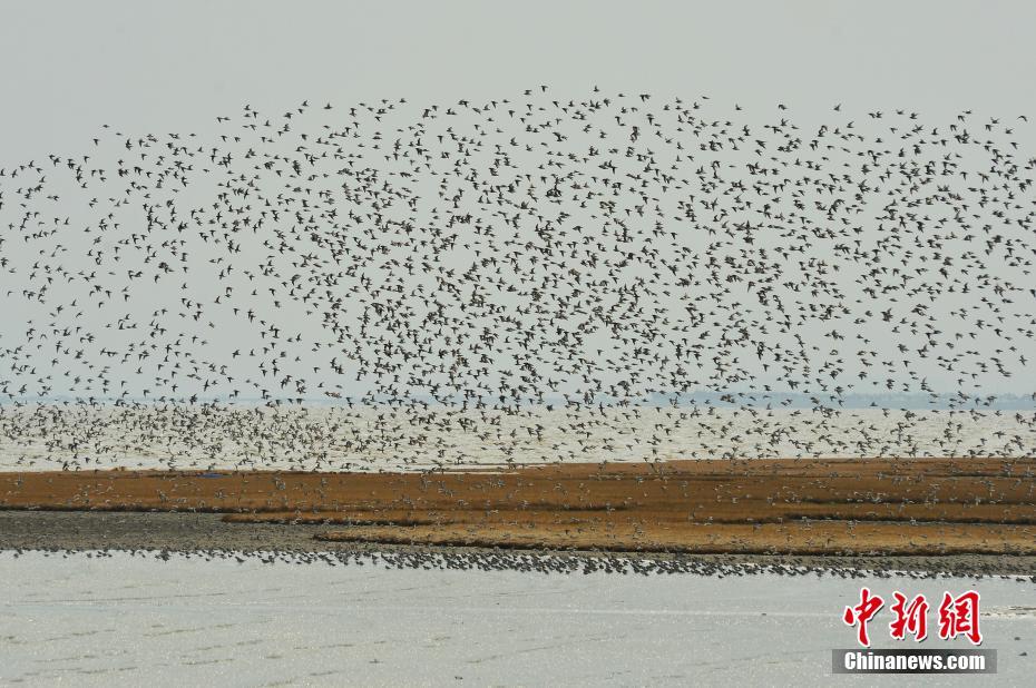 缘之空借兄妹情纠葛引发思索，为何对兄妹恋情描绘引争议？