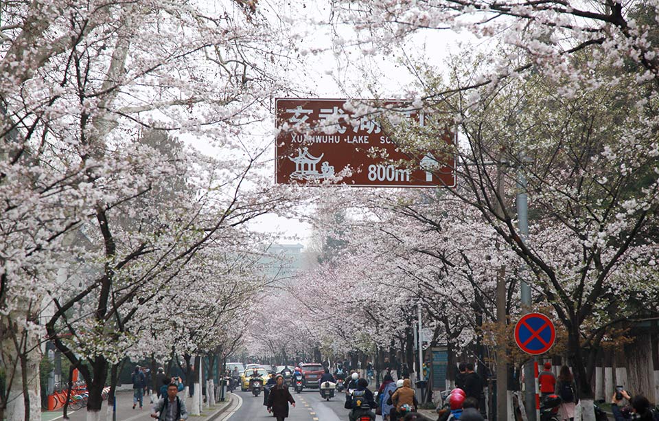 缘之空借兄妹情纠葛引发思索,为何对兄妹恋情描绘引争议?