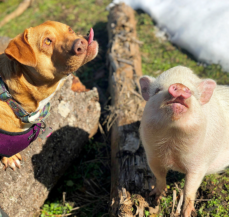异世界搞笑冒险番为何吸引人？独特设定与反差角色是关键