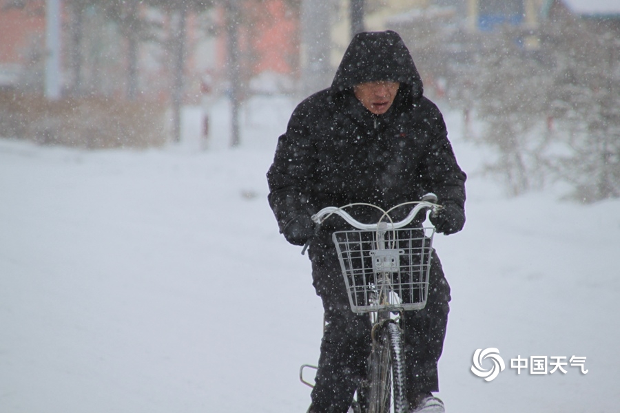 国漫越来越无脑