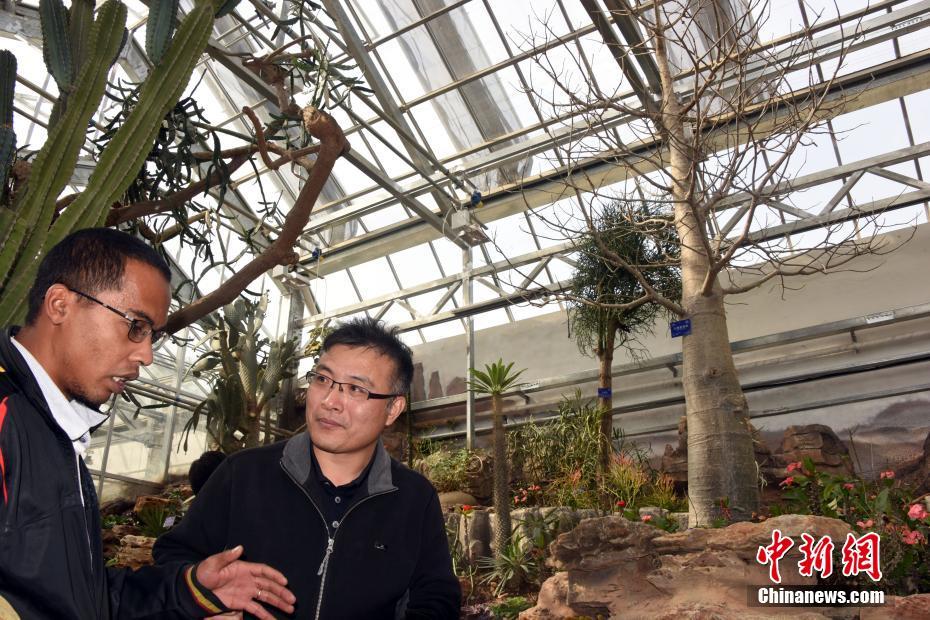 《海贼王第890集》在线观看