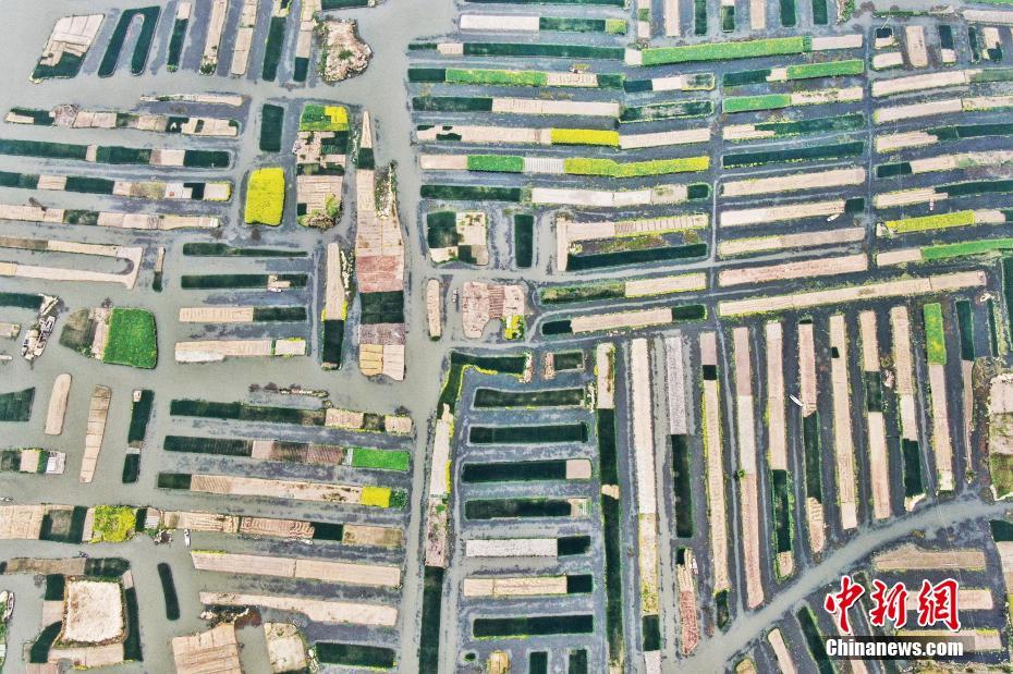 数字阅读普及下，韩漫免费观看的凯发k8国际首页登录的版权风险与安全提示