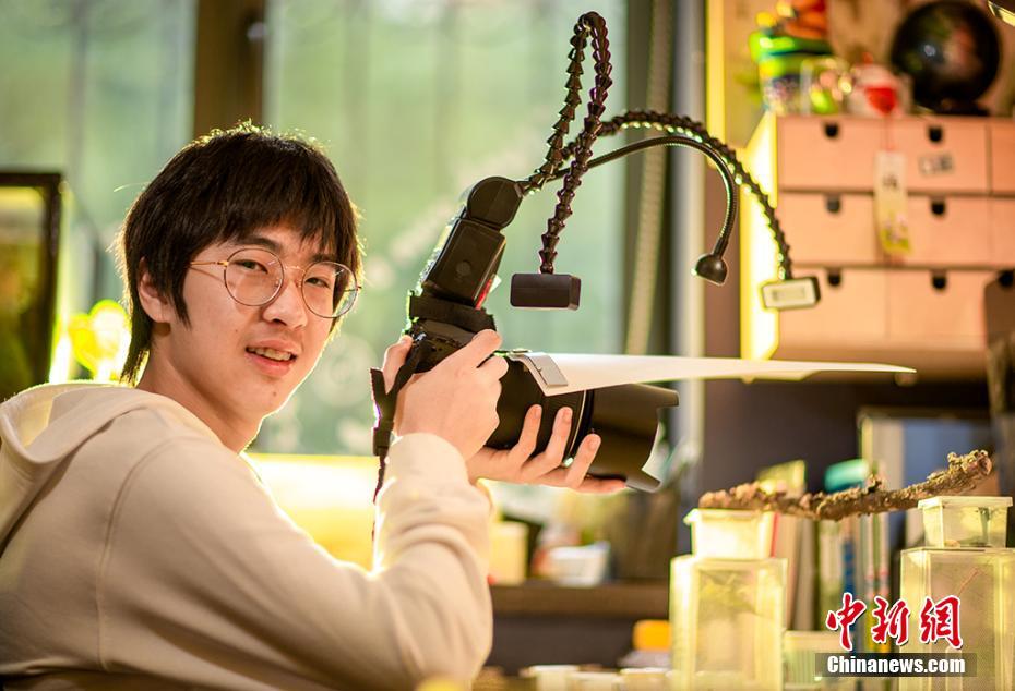 弱点漫画在线观看