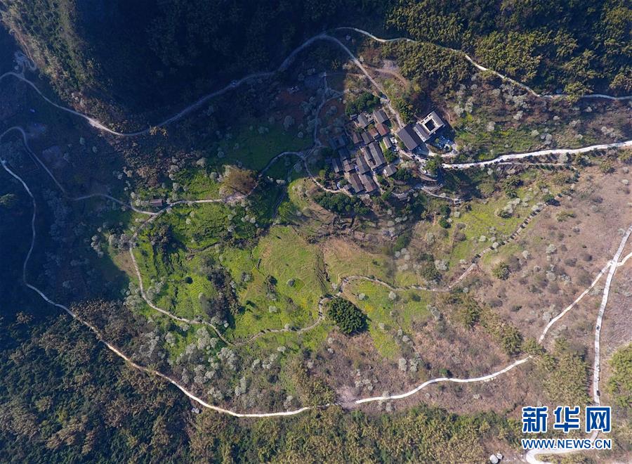 缘之空借兄妹情纠葛引发思索，为何对兄妹恋情描绘引争议？