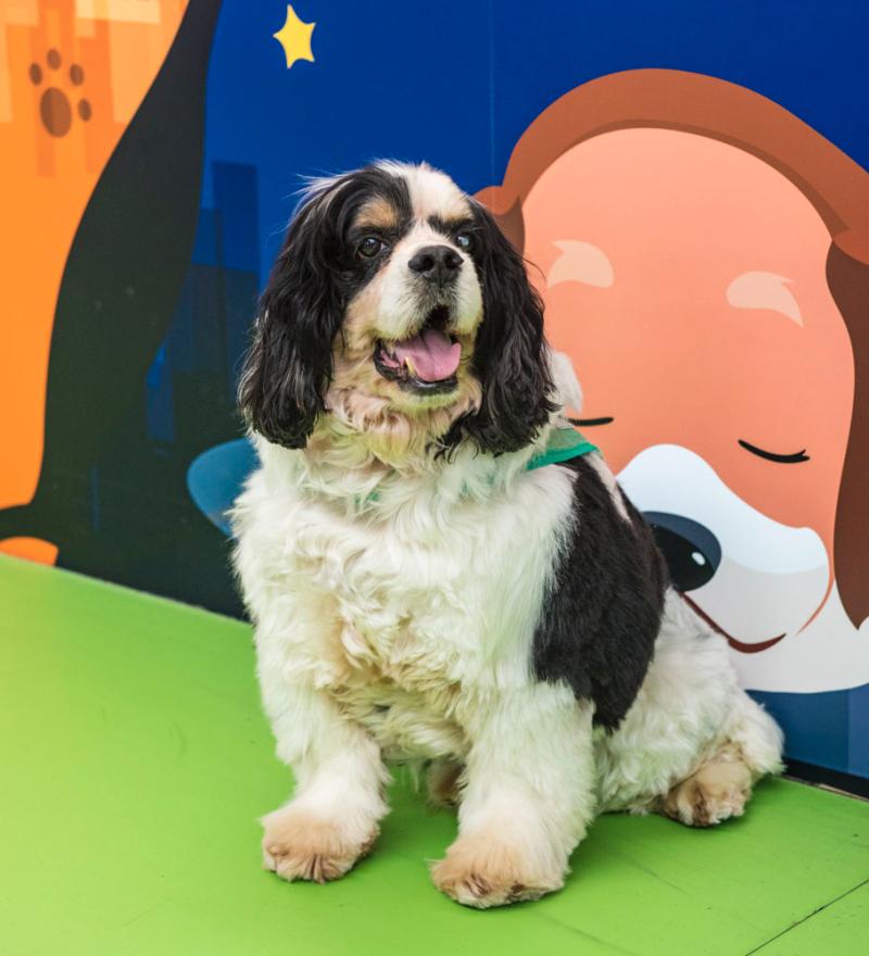 影视作品中万人迷反派为何更吸睛？如何塑造有魅力反派？