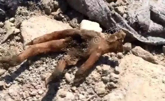 数字阅读普及下，韩漫免费观看的凯发k8国际首页登录的版权风险与安全提示