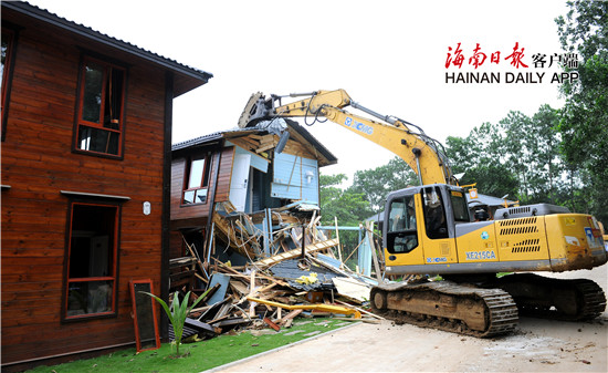 缘之空借兄妹情纠葛引发思索,为何对兄妹恋情描绘引争议?