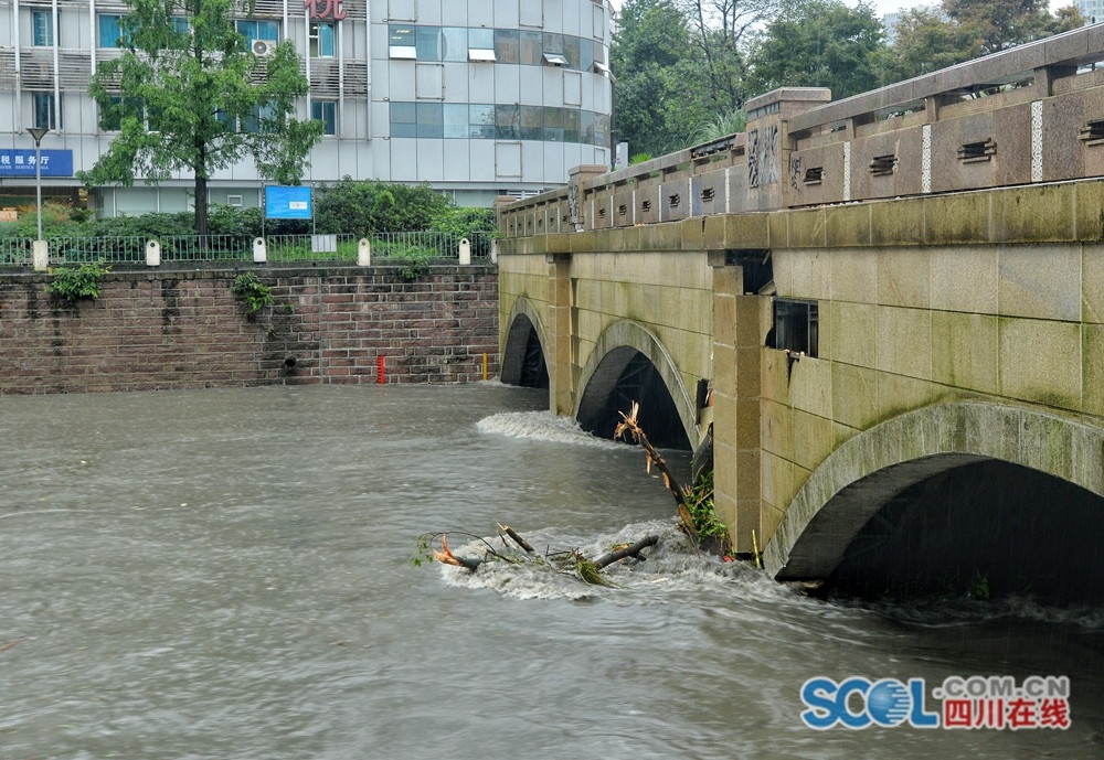 缘之空借兄妹情纠葛引发思索，为何对兄妹恋情描绘引争议？