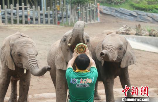 阅站漫画app最新版：免费搜索全网漫画，畅享多种便捷阅读体验