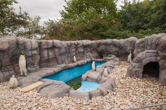 阅站漫画：资源丰富更新快，免费福利多，阅读体验超棒