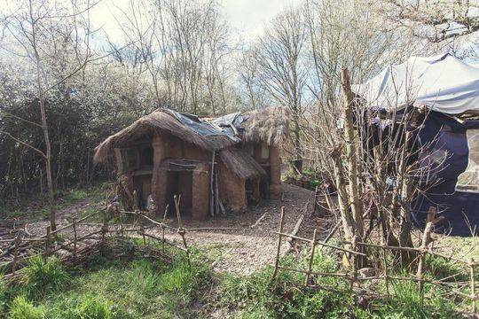 免费漫画阅站官方正版：无广告弹窗，全网漫画免费看