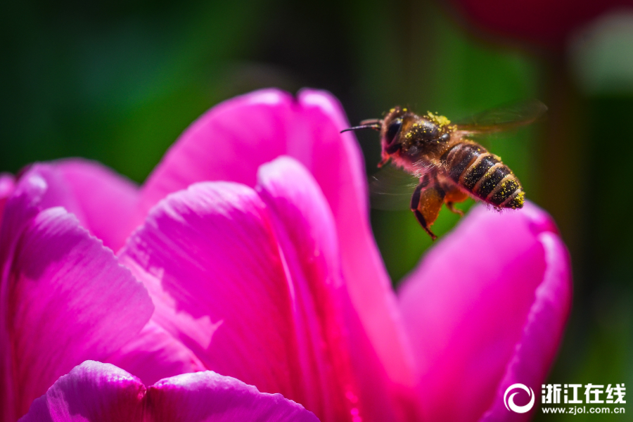 备受关注的死神230模型，设计与工艺究竟有多出色？