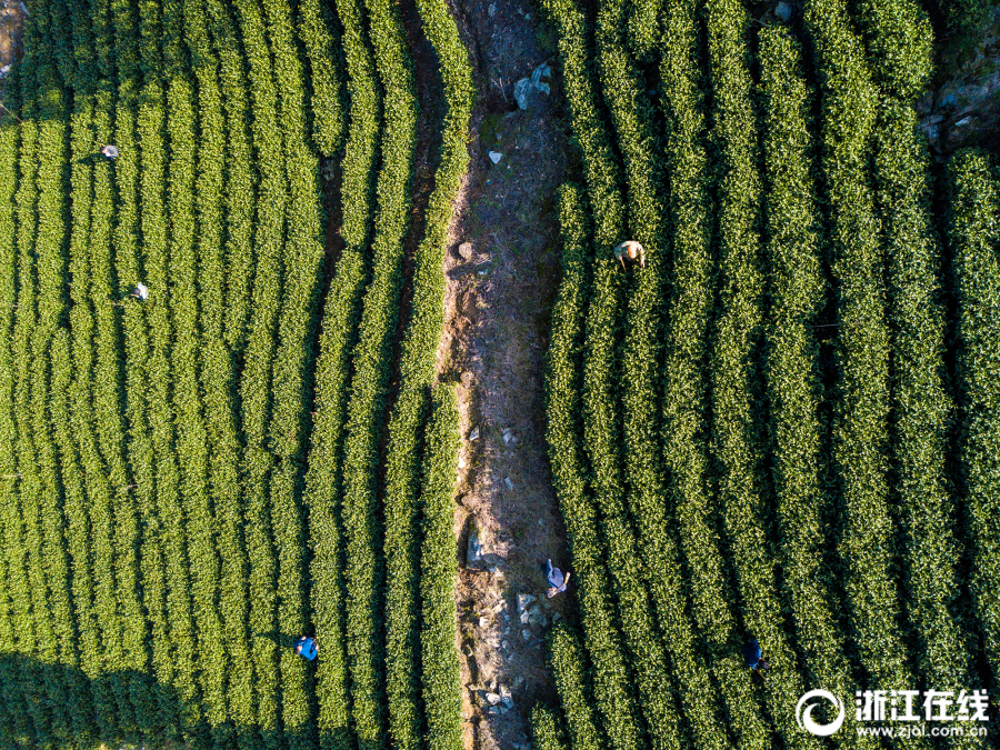 异世界搞笑冒险番为何吸引人?独特设定与反差角色是关键