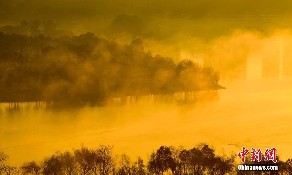 爆笑阿衰漫画全集免费阅读