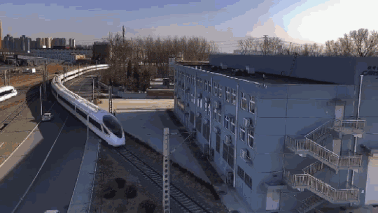 《海贼王第890集》在线观看