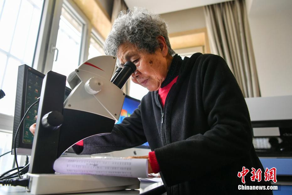 同人:约会大作战datealive ex章节(3) ast存亡战 第一节