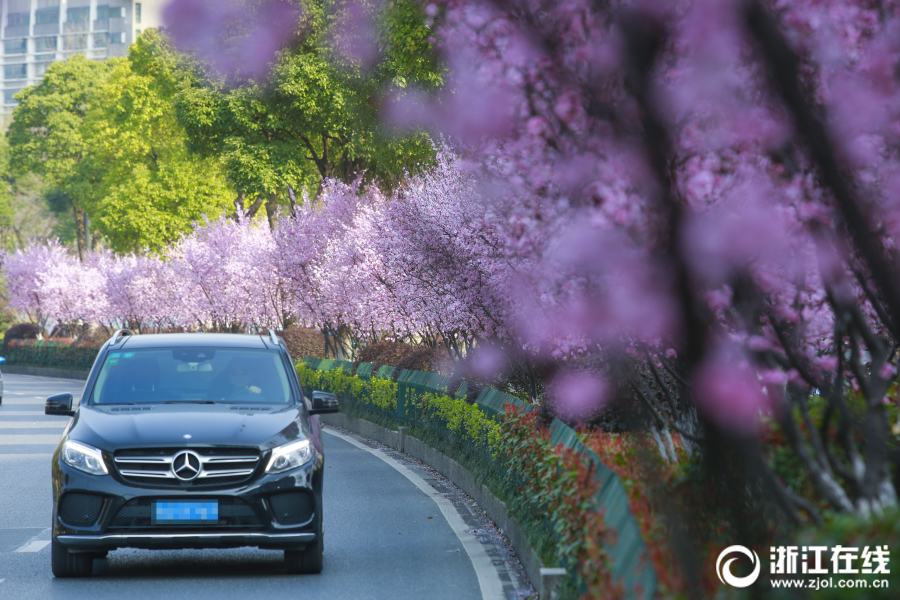 阅站漫画app最新版：免费搜索全网漫画，畅享多种便捷阅读体验