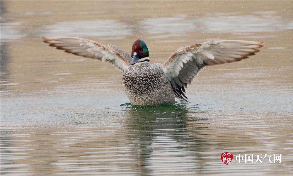 韩漫下拉式漫画大全入口